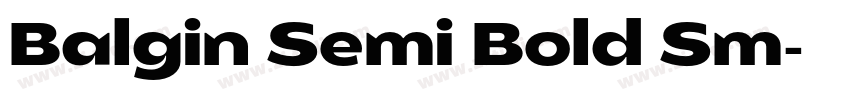 Balgin Semi Bold Sm字体转换 Balgin Semi Bold Sm字体转换